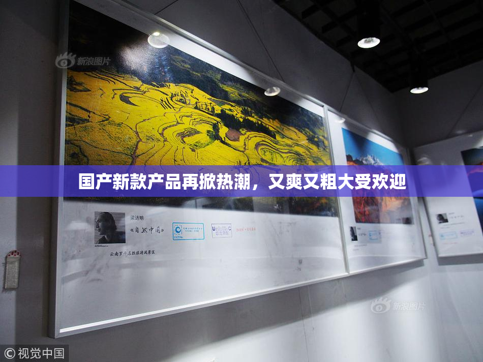 国产新款产品再掀热潮，又爽又粗大受欢迎