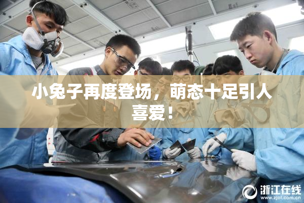 小兔子再度登场，萌态十足引人喜爱！