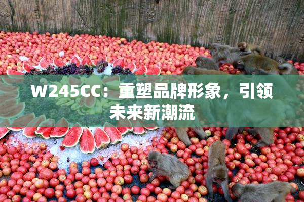 W245CC：重塑品牌形象，引领未来新潮流
