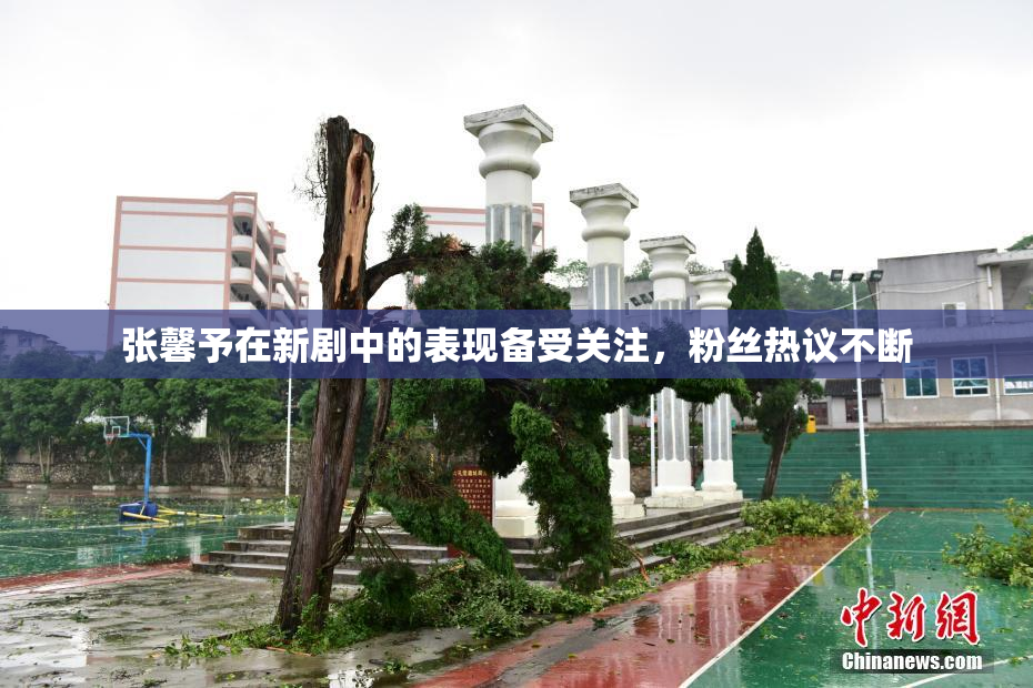 张馨予在新剧中的表现备受关注，粉丝热议不断