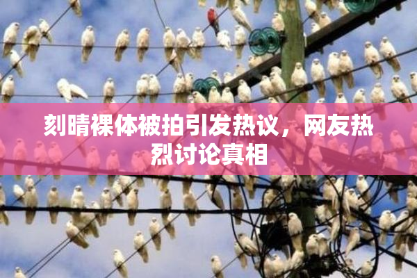 刻晴裸体被拍引发热议，网友热烈讨论真相