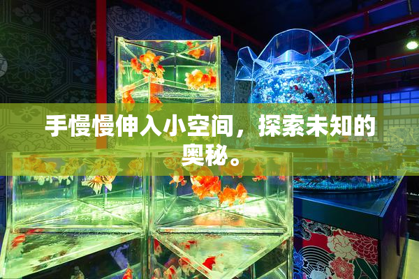 手慢慢伸入小空间，探索未知的奥秘。
