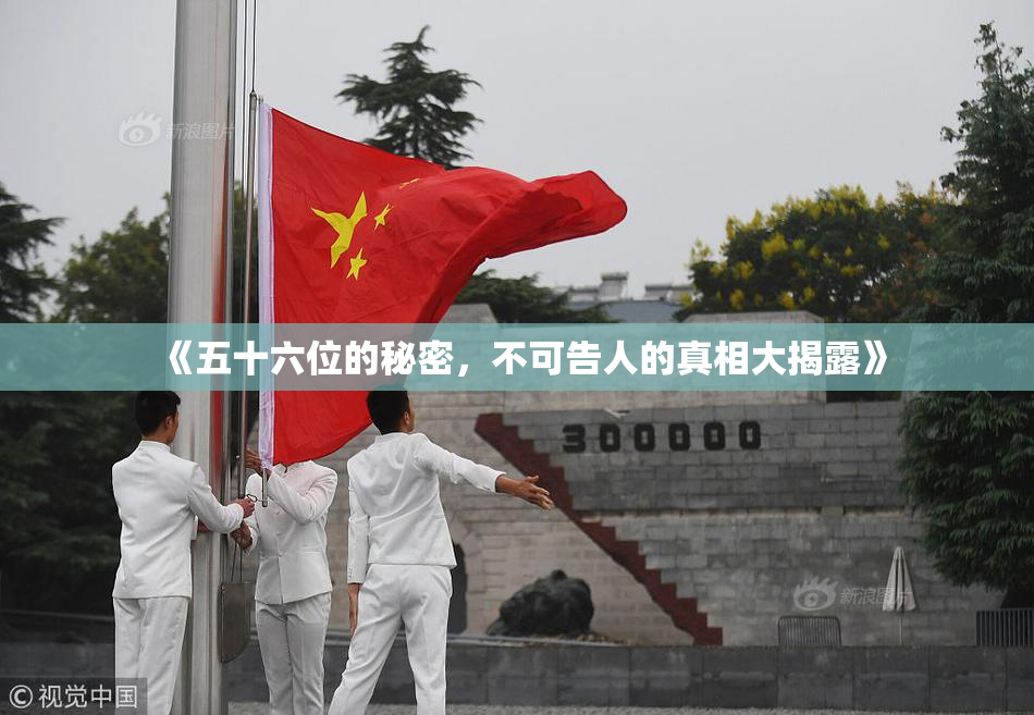 《五十六位的秘密，不可告人的真相大揭露》