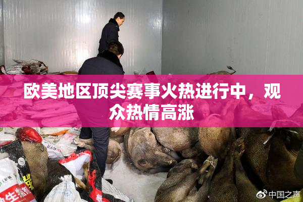欧美地区顶尖赛事火热进行中，观众热情高涨