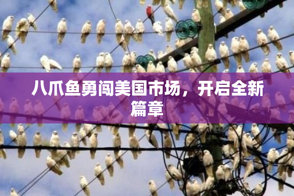 八爪鱼勇闯美国市场，开启全新篇章