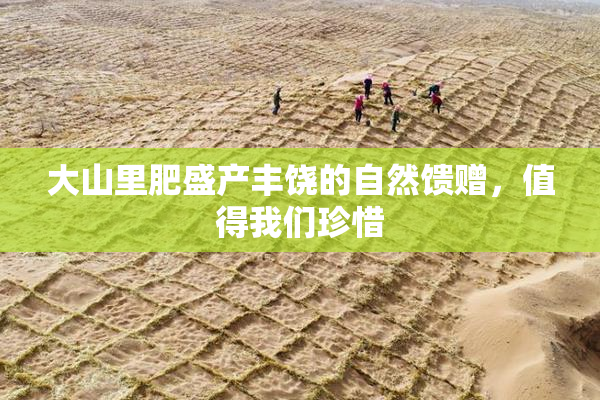 大山里肥盛产丰饶的自然馈赠，值得我们珍惜