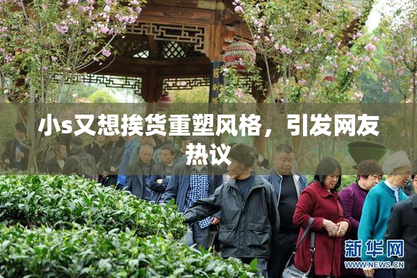 小s又想挨货重塑风格，引发网友热议