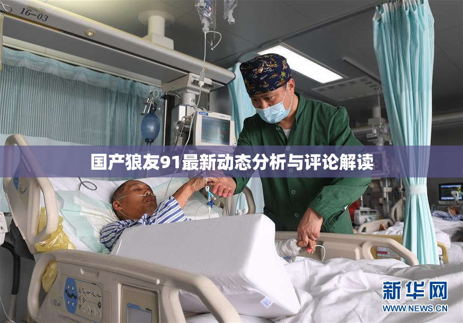 国产狼友91最新动态分析与评论解读