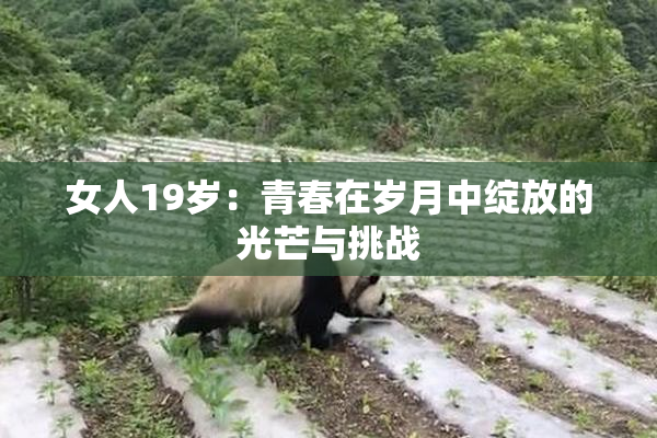 女人19岁：青春在岁月中绽放的光芒与挑战