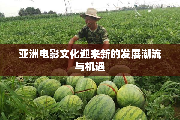 亚洲电影文化迎来新的发展潮流与机遇