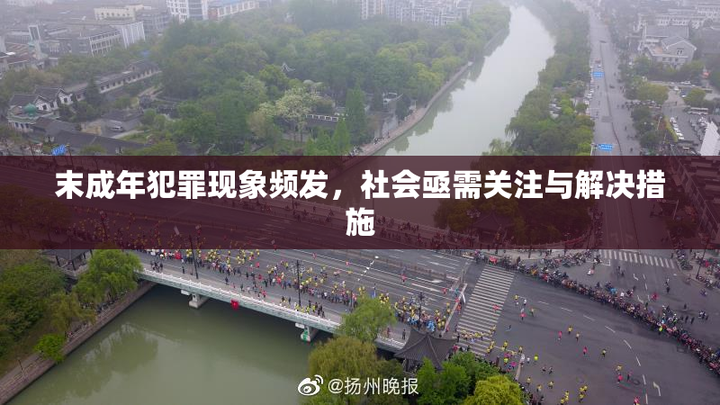 末成年犯罪现象频发，社会亟需关注与解决措施