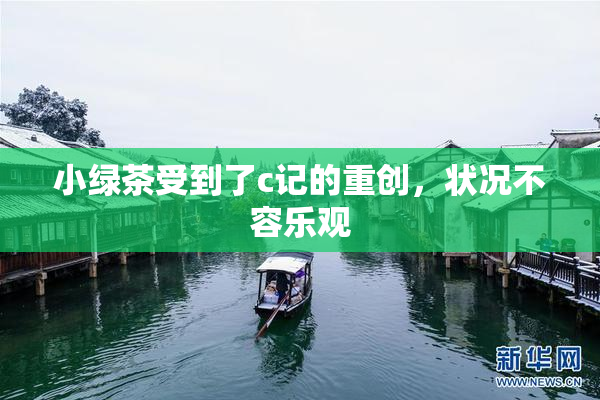 小绿茶受到了c记的重创，状况不容乐观