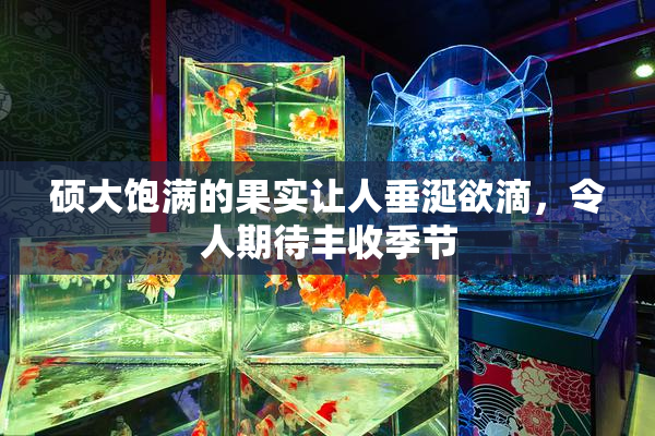 硕大饱满的果实让人垂涎欲滴，令人期待丰收季节
