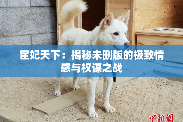 宦妃天下：揭秘未删版的极致情感与权谋之战