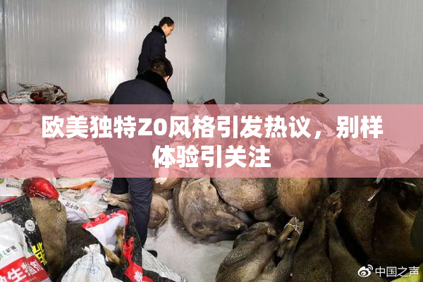 欧美独特Z0风格引发热议，别样体验引关注