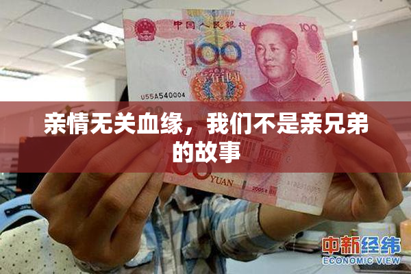 亲情无关血缘，我们不是亲兄弟的故事