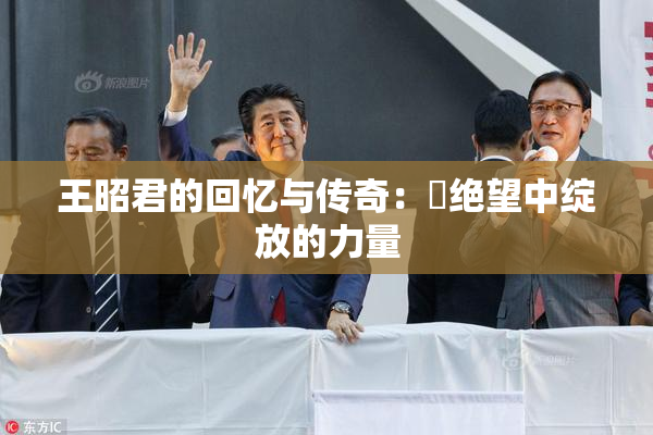 王昭君的回忆与传奇：從绝望中绽放的力量