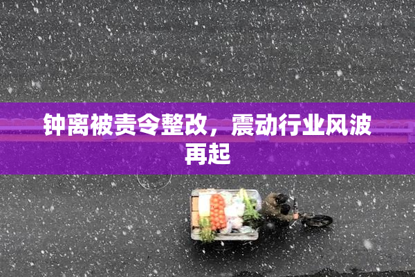 钟离被责令整改，震动行业风波再起