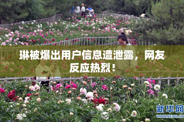 琳被爆出用户信息遭泄露，网友反应热烈！
