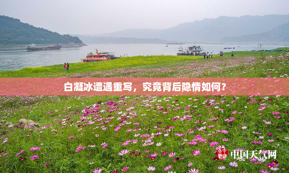 白凝冰遭遇重写，究竟背后隐情如何？