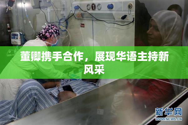 董卿携手合作，展现华语主持新风采