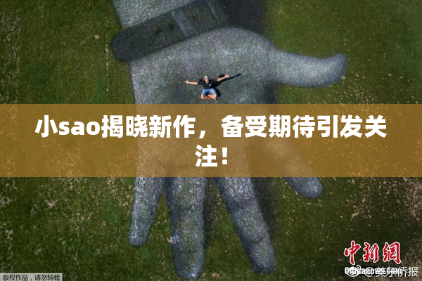 小sao揭晓新作，备受期待引发关注！