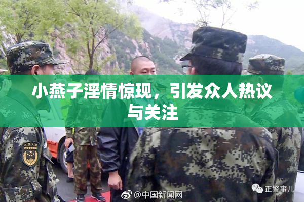 小燕子淫情惊现，引发众人热议与关注