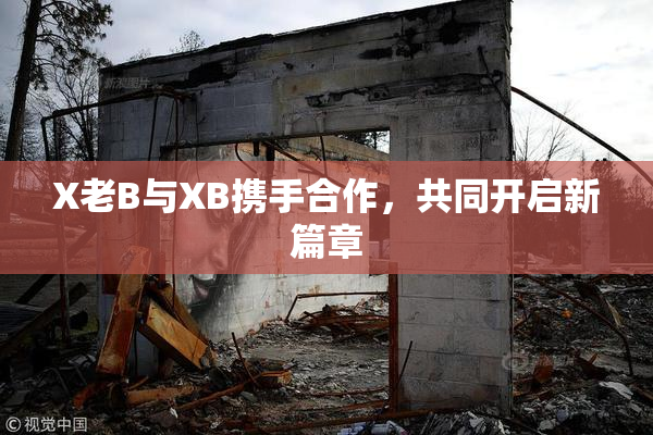 X老B与XB携手合作，共同开启新篇章