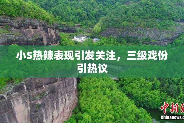 小S热辣表现引发关注，三级戏份引热议