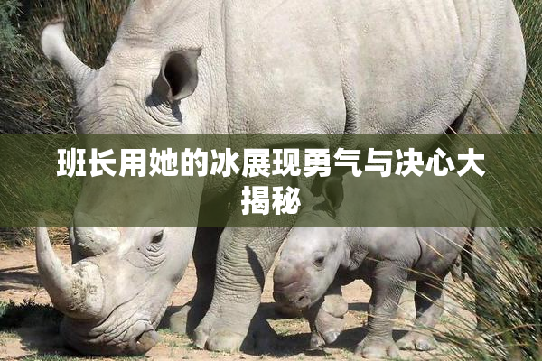 班长用她的冰展现勇气与决心大揭秘