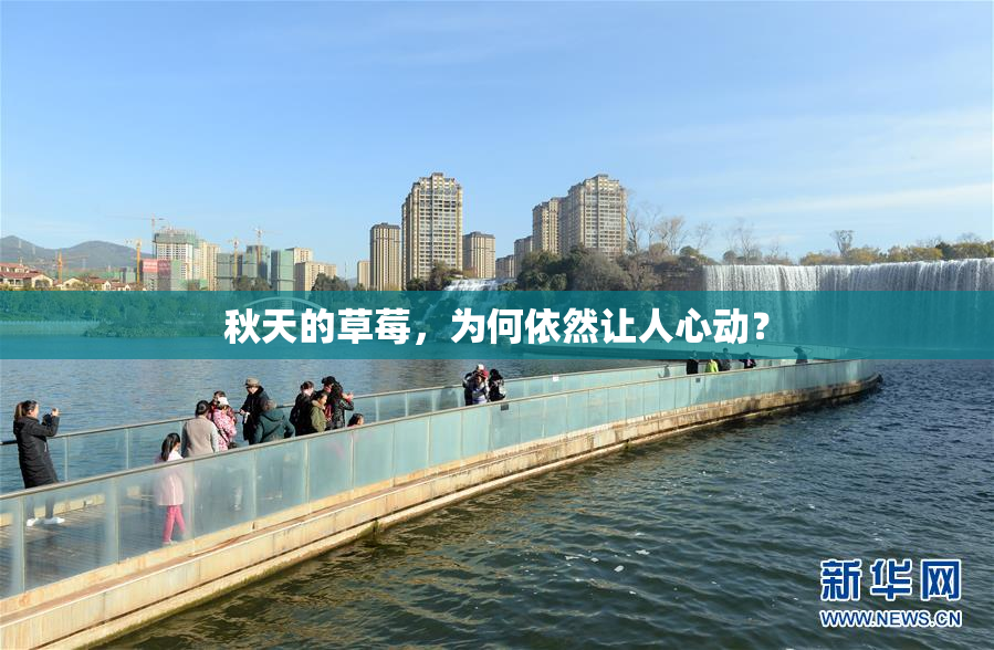 秋天的草莓，为何依然让人心动？