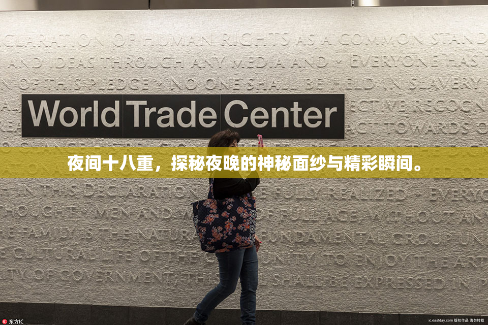 夜间十八重，探秘夜晚的神秘面纱与精彩瞬间。