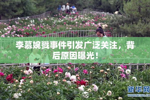 李慕婉戮事件引发广泛关注，背后原因曝光！