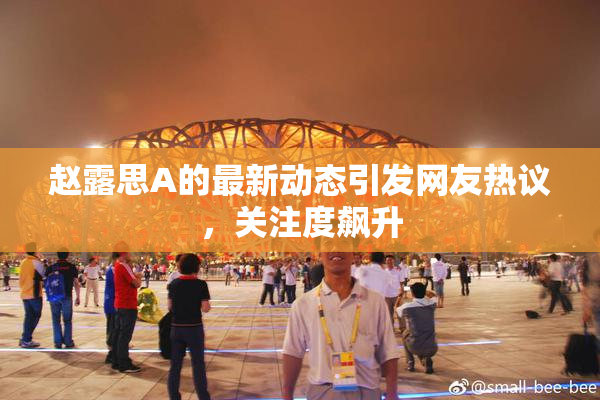 赵露思A的最新动态引发网友热议，关注度飙升