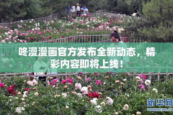 咚漫漫画官方发布全新动态，精彩内容即将上线！