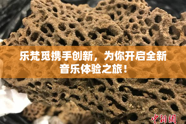 乐梵觅携手创新，为你开启全新音乐体验之旅！