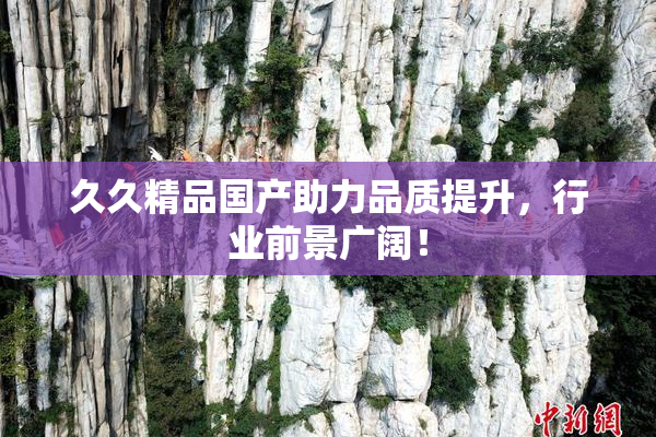 久久精品国产助力品质提升，行业前景广阔！