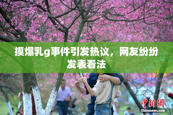 摸爆乳g事件引发热议，网友纷纷发表看法