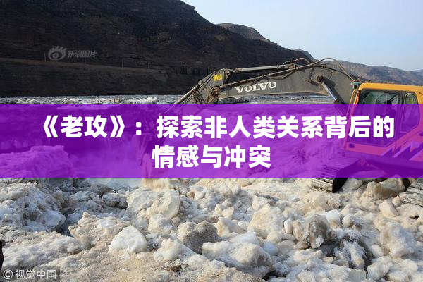 《老攻》：探索非人类关系背后的情感与冲突