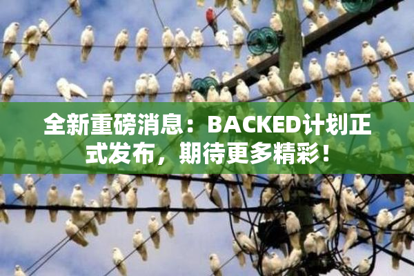 全新重磅消息：BACKED计划正式发布，期待更多精彩！