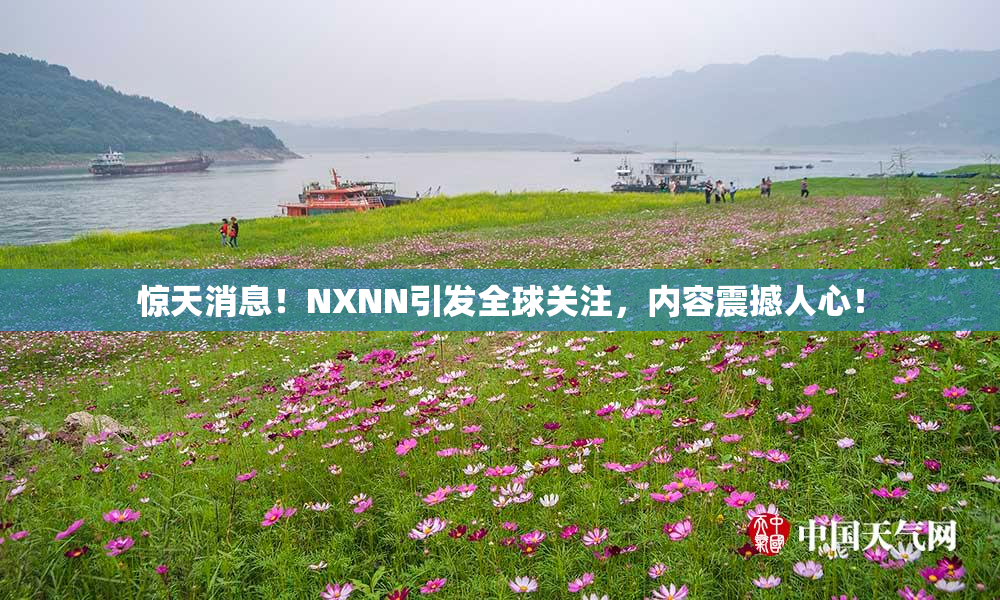 惊天消息！NXNN引发全球关注，内容震撼人心！