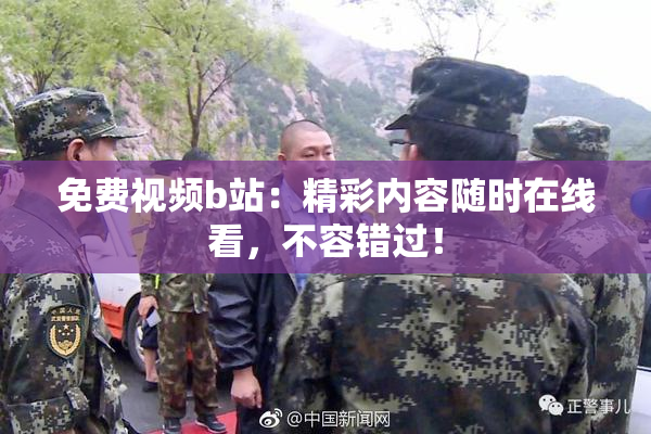 免费视频b站：精彩内容随时在线看，不容错过！