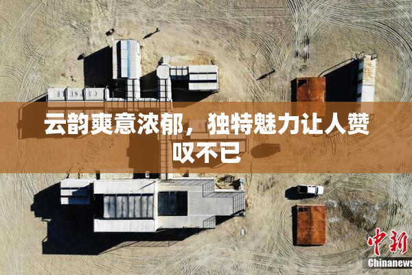 云韵爽意浓郁，独特魅力让人赞叹不已