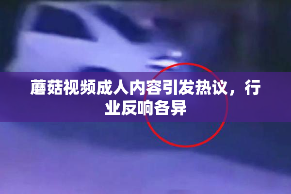 蘑菇视频成人内容引发热议，行业反响各异