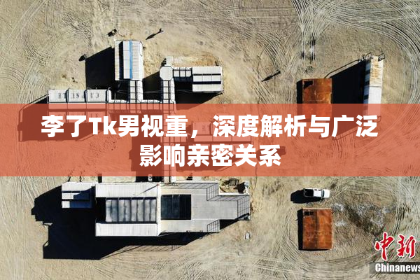 李了Tk男视重，深度解析与广泛影响亲密关系