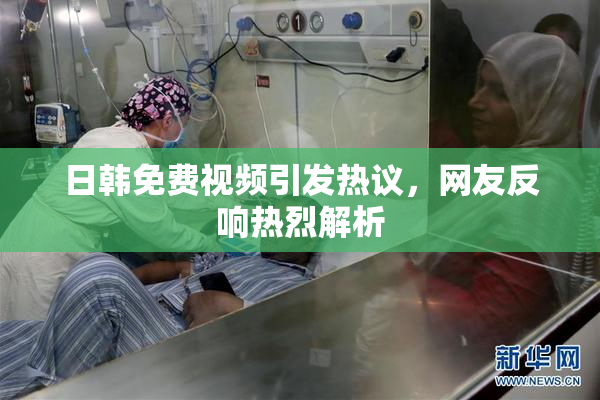 日韩免费视频引发热议，网友反响热烈解析