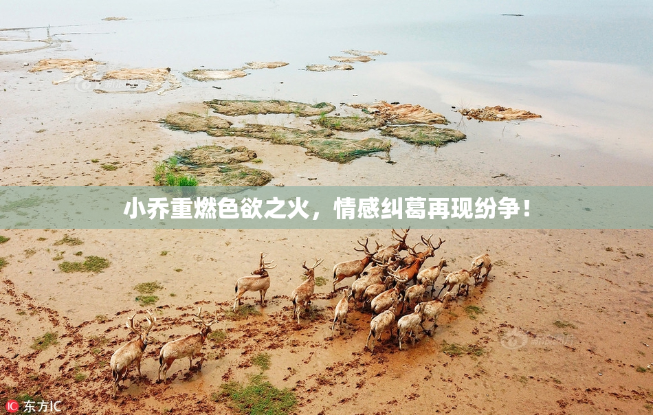 小乔重燃色欲之火，情感纠葛再现纷争！