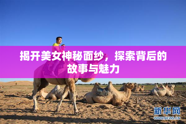 揭开美女神秘面纱，探索背后的故事与魅力