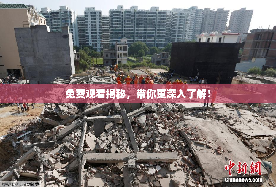 免费观看揭秘，带你更深入了解！