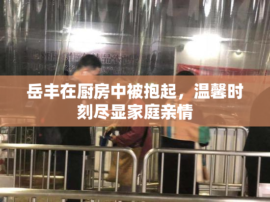 岳丰在厨房中被抱起，温馨时刻尽显家庭亲情